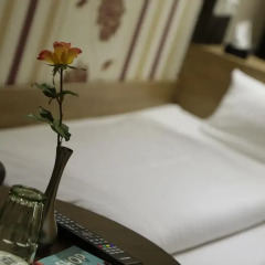 Alexander Business Hotel Hannover City комната для гостей фото 5