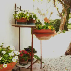Отель Agriturismo Ponterosa Морровалле фото 3