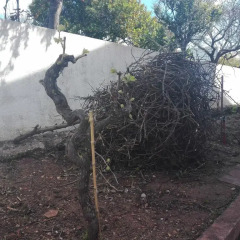 Отель Oeiras Park Villa