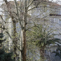 Coskun House Турция, Стамбул - отзывы, цены и фото номеров - забронировать отель Coskun House онлайн приотельная территория
