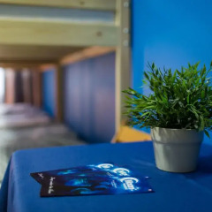 Moon Hostel Кровать в общем номере