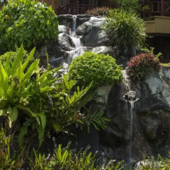 Отель Royal Palms Beach Hotel Шри-Ланка, Калутара - отзывы, цены и фото номеров - забронировать отель Royal Palms Beach Hotel онлайн фото 10