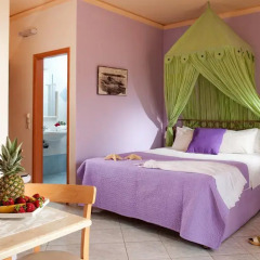 Socrates Hotel 3* Улучшенная студия с различными типами кроватей фото 2