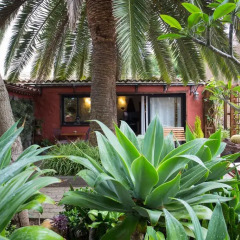 Отель Casa Palmera фото 3