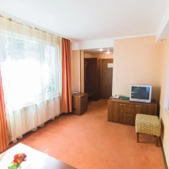 SPA Hotel Borova Gora 4* Полулюкс с различными типами кроватей фото 2