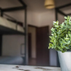 Funky Monkey Hostel Sagres ванная