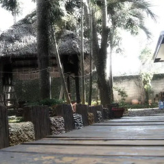 Отель Altheas Place Palawan Филиппины, Пуэрто-Принцеса - отзывы, цены и фото номеров - забронировать отель Altheas Place Palawan онлайн фото 12