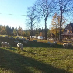 Отель Pompelówka chata na Głubałówce Закопане парковка