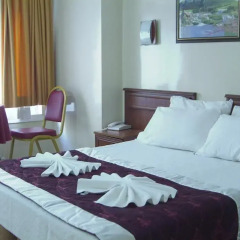 Kafkas Hotel 3* Стандартный номер с двуспальной кроватью
