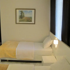 Hotel Nika 3* Номер Делюкс с различными типами кроватей фото 3