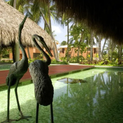 Отель Sivory Punta Cana Пунта Кана фото 23