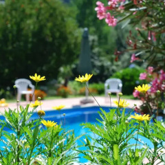 Отель Casa de Abbades бассейн фото 3