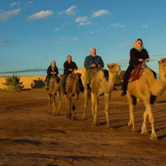 Отель Auberge Sahara Garden Марокко, Мерзуга - отзывы, цены и фото номеров - забронировать отель Auberge Sahara Garden онлайн пляж фото 2