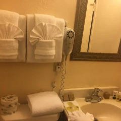 Отель The Palomar Inn ванная