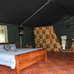 Отель Yala Peocok Camping Номер Делюкс с различными типами кроватей фото 13