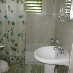 Отель Pineapple Hill Sea View Cottage Порт Антонио ванная