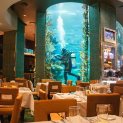 Golden Nugget Las Vegas Hotel & Casino 4* Другое фото 2