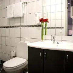 Enter Viking Hotel 3* Стандартный номер с различными типами кроватей фото 20