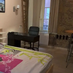 Отель Studio Charme et Confort aux Cordeliers Франция, Лион - отзывы, цены и фото номеров - забронировать отель Studio Charme et Confort aux Cordeliers онлайн удобства в номере