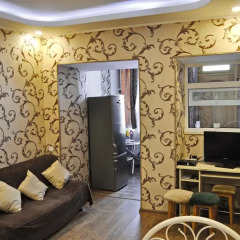 Апартаменты Apartment at Grigola Handzeteli комната для гостей фото 4