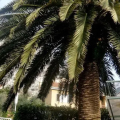 Апартаменты Apartments Palma фото 5