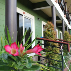 Отель Riviera Boutique House 2* Стандартный номер фото 12
