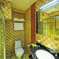 Отель Cron Palace Tbilisi 4* Люкс фото 18