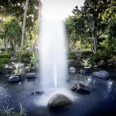 Отель The Naviti Resort Фиджи, Вити-Леву - отзывы, цены и фото номеров - забронировать отель The Naviti Resort онлайн фото 3