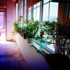 Ganzhou Qixi International Youth Hostel бассейн фото 2