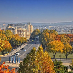 Отель Margo Palace Hotel Грузия, Тбилиси - 1 отзыв об отеле, цены и фото номеров - забронировать отель Margo Palace Hotel онлайн балкон