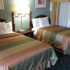 Отель Rodeway Inn Hollywood США, Лос-Анджелес - 1 отзыв об отеле, цены и фото номеров - забронировать отель Rodeway Inn Hollywood онлайн детские мероприятия