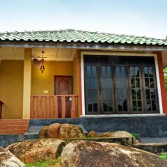 Отель Kodigahawewa Forest Resort 3* Стандартный номер с различными типами кроватей фото 20