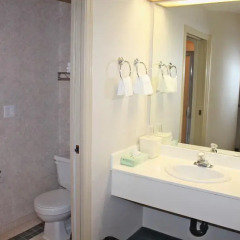 Отель Canadas Best Value Inn Langley Лэнгли ванная фото 2