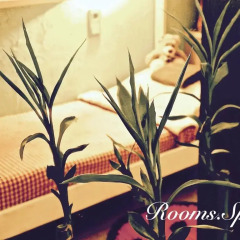 Гостиница Rooms.SPb интерьер отеля