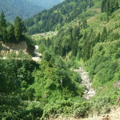 Ayder Cise Dag Evleri Шале с различными типами кроватей фото 4