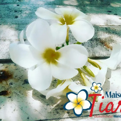 Отель Maison Tiare' Maldives Thulusdhoo Остров Гасфинолу бассейн фото 2