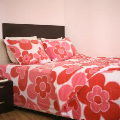 Отель Simeon Apartment Болгария, Банско - отзывы, цены и фото номеров - забронировать отель Simeon Apartment онлайн удобства в номере