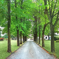 Отель Agriturismo Al Colle Del Ciliegio Италия, Региональный парк Colli Euganei - отзывы, цены и фото номеров - забронировать отель Agriturismo Al Colle Del Ciliegio онлайн фото 11
