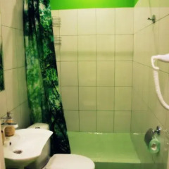Eco Son Hotel & Hostel Стандартный семейный номер с двуспальной кроватью фото 8