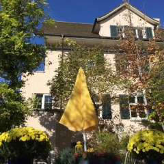 Апартаменты Garden Studio Apartment Zürichberg с домашними животными