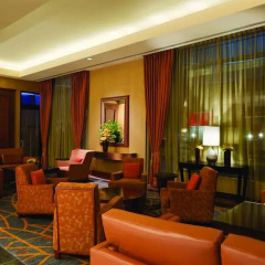 Отель Hilton Suites Chicago/Magnificent Mile развлечения фото 2
