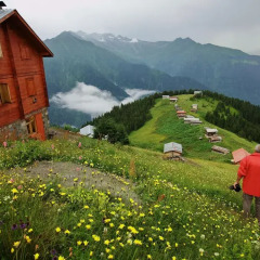 Отель Pokut Doğa Konukevi фото 3