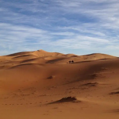 Отель Camels House Марокко, Мерзуга - отзывы, цены и фото номеров - забронировать отель Camels House онлайн пляж фото 2