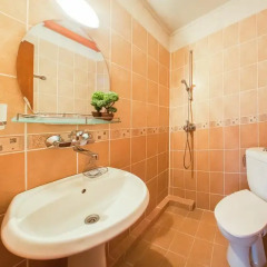 Отель Guest House Saint Dimitar Болгария, Боровец - отзывы, цены и фото номеров - забронировать отель Guest House Saint Dimitar онлайн ванная фото 2