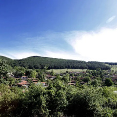Отель Zlatna Oresha Guest House Болгария, Сливен - отзывы, цены и фото номеров - забронировать отель Zlatna Oresha Guest House онлайн фото 3