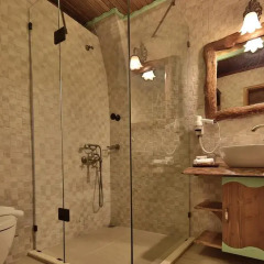 Elif Stone House 3* Стандартный номер с различными типами кроватей фото 4