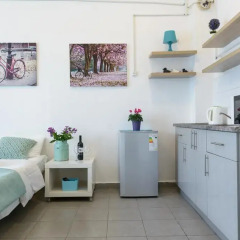 Апартаменты Hacarmel Apartment Тель-Авив спа