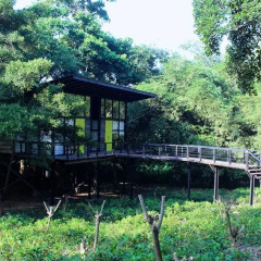Отель The Country House Chalets 4* Шале фото 19