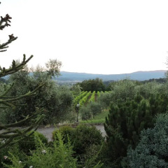 Отель Savernano Реггелло фото 8