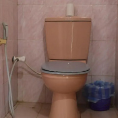 New negombo beach hostel Кровать в женском общем номере с двухъярусной кроватью фото 4
